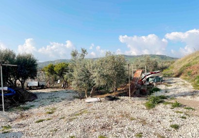 Ref 1137: 5 B/R Detached Villa In Nata, Paphos